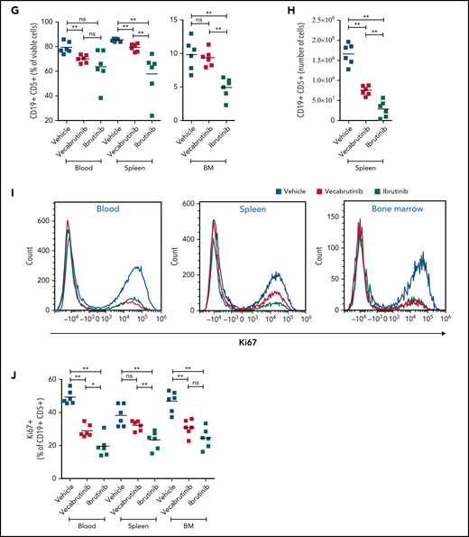 Assessments of activity relative to vehicle control following treatment with vecabrutinib or ibrutinib in the murine Eμ-TCL1 model. Differential cell counts for granulocytes, lymphocytes, and monocytes (A), platelet count (B), red blood cells (RBC) and hemoglobin levels (C), WBC count (D), and spleen and liver weights (E) upon BTK inhibitor treatment vs vehicle for 10 days. (F) Representative flow cytometry plots showing changes in the CD19+CD5+ population in spleen. (G) Change in tumor load (percentage of CD19+CD5+ cells) in blood, spleen, and bone marrow (G) and absolute number of CD19+CD5+ tumor cells per spleen (H). (I) Representative flow cytometry plots showing relative changes in Ki67-expressing tumor cells. (J) Tumor cell proliferation in blood, spleen, and bone marrow. *P ≤ .05, **P ≤ .01, Mann-Whitney U test. ns, not significant (P > .05).