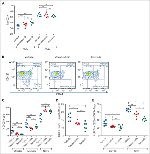 Vecabrutinib treatment alters T-cell subpopulations in the murine Eµ-TCL model. (A) Changes in relative frequencies of CD8+ and CD4+ T-cell subpopulations in spleen relative to vehicle control following 10 days of treatment with vecabrutinib or ibrutinib in the murine Eµ-TCL1 model. (B) Representative flow cytometry plots showing effector (CD8+CD127lowCD44int-hi), memory (CD8+CD44+CD127+), and naive (CD8+CD44−CD127+) T-cell populations. (C) Changes in effector, memory, and naive CD8+ T cells, (D) percentage of Tregs (CD4+CD25+FOXP3+) and (E) percentage of Tregs expressing the Treg activation markers CD103 and GITR in the different treatment groups. (F-H) Activation of the immediate early TCR gene Nur77 in effector cells (CD8+CD127lowCD44int-hi) and Tregs (CD4+CD25+FOXP3+) in splenocytes isolated from 8 recipient mice transplanted with Eµ-TCL1 tumor. The cells were treated ex vivo with increasing concentrations of vecabrutinib (F), ibrutinib (G), or tirabrutinib (H), in triplicates, followed by stimulation with anti-CD3 antibody. Changes in T-cell activation measured by relative expression of CD25 in CD4+ T cells (I) and CD8+ T cells (J) and by relative expression of CD69 in CD4+ T cells (K) and CD8+ T cells (L) upon treatment of peripheral blood mononuclear cells derived from patients with CLL with DMSO or 1 µM ibrutinib or vecabrutinib and stimulation for 6 hours using soluble anti-CD3 or anti-CD3/CD28 antibodies. Dashed lines in (I-L) denote normalization to DMSO. P values above individual columns represent comparison with DMSO. *P ≤ .05, **P ≤ .01, ***P ≤ .001, Mann-Whitney U test (A,C-H), paired Student t test (I-L). a′, anti; Ibru, ibrutinib; MFI, mean fluorescence intensity; ns, not significant (P > .05); Unstim., unstimulated; Veca, vecabrutinib.