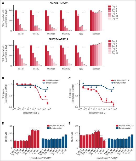MLL and menin are molecular dependencies in NUP98-rearranged leukemia. (A) NUP98-HOXA9 (top panel) and NUP98-JARID1A (bottom panel) mouse leukemia cells engineered to constitutively express Cas9 were transduced with sgRNA targeting MLL1, menin, RPA3 (positive control) and luciferase (negative control). Cells expressing sgRNA also express an RFP or GFP reporter, and the y-axis quantifies the percent RFP+ or GFP+ cells at each time point. Bars represent mean ± SEM. Two-way ANOVA with Dunnett’s multiple comparisons test was performed, ****P < .0001. Data are representative of 3 independent experiments. (B,C) Mouse leukemia cells expressing NUP98-HOXA9 (B) or NUP98-JARID1A (C) were treated with an escalating dose curve of VTP50469. Data are representative of 5 independent experiments. (D,E) Expression of CD11b on NUP98-HOXA9 (D) or NUP98-JARID1A (E) mouse leukemia cells treated with an escalating dose curve of VTP50469. Data are representative of 5 independent experiments. Bars represent mean ± SEM. Two-way ANOVA with Dunnett’s multiple comparisons test was performed, ***P = .002, ****P < .0001.