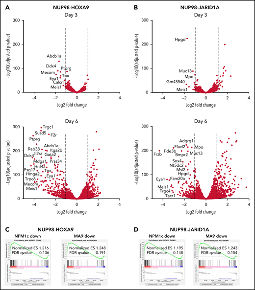 MLL1 is displaced from chromatin upon treatment with VTP50469 at a subset of critical genes. (A,B) Gene expression changes at day 3 (top panels) and day 6 (bottom panels) of treatment with 2 μM VTP50469 in mouse leukemia cells expressing NUP98-HOXA9 (A) or NUP98-JARID1A (B). n = 3 replicates per time point. (C,D) Gene-set enrichment analysis of gene expression changes in NUP98-HOXA9 (C) or NUP98-JARID1A (D) mouse leukemia cells treated with VTP50469 compared with that seen in MLL-r (MA9) and NPM1c mouse leukemia cells. (E) Tornado plots and average signal plots depicting genome-wide MLL1, menin, and H3K4me3 chromatin changes upon treatment with VTP50469 as determined by ChIPseq in mouse leukemia cells expressing NUP98-HOXA9. (F) Gene tracks of MLL1 chromatin occupancy in NUP98-HOXA9 mouse leukemia cells treated with VTP50469 as determined by ChIPseq in reads per million (rpm) at selected genes. (G) Violin plots depicting change in MLL1 occupancy for genes that display changes in gene expression vs all genes in NUP98-HOXA9 mouse leukemia cells after 3 days (left panel) or 6 days (right panel) of treatment with VTP50469. Data are representative of 2 independent experiments. One-way ANOVA was performed.
