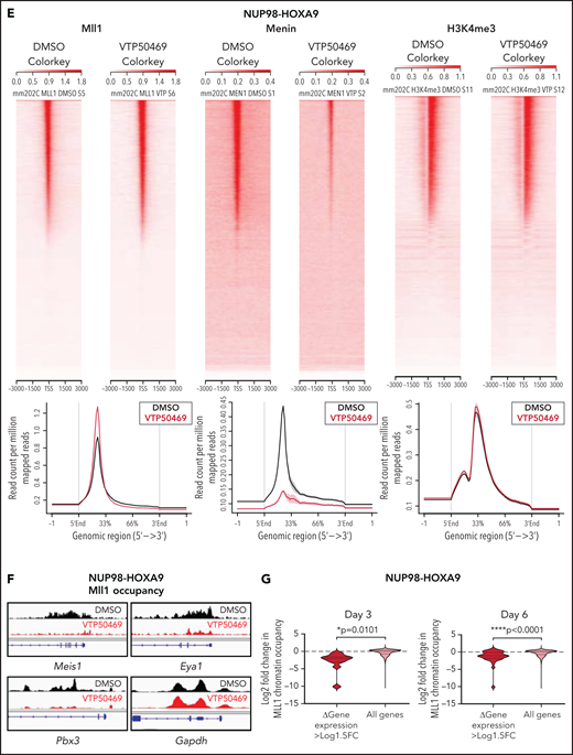MLL1 is displaced from chromatin upon treatment with VTP50469 at a subset of critical genes. (A,B) Gene expression changes at day 3 (top panels) and day 6 (bottom panels) of treatment with 2 μM VTP50469 in mouse leukemia cells expressing NUP98-HOXA9 (A) or NUP98-JARID1A (B). n = 3 replicates per time point. (C,D) Gene-set enrichment analysis of gene expression changes in NUP98-HOXA9 (C) or NUP98-JARID1A (D) mouse leukemia cells treated with VTP50469 compared with that seen in MLL-r (MA9) and NPM1c mouse leukemia cells. (E) Tornado plots and average signal plots depicting genome-wide MLL1, menin, and H3K4me3 chromatin changes upon treatment with VTP50469 as determined by ChIPseq in mouse leukemia cells expressing NUP98-HOXA9. (F) Gene tracks of MLL1 chromatin occupancy in NUP98-HOXA9 mouse leukemia cells treated with VTP50469 as determined by ChIPseq in reads per million (rpm) at selected genes. (G) Violin plots depicting change in MLL1 occupancy for genes that display changes in gene expression vs all genes in NUP98-HOXA9 mouse leukemia cells after 3 days (left panel) or 6 days (right panel) of treatment with VTP50469. Data are representative of 2 independent experiments. One-way ANOVA was performed.