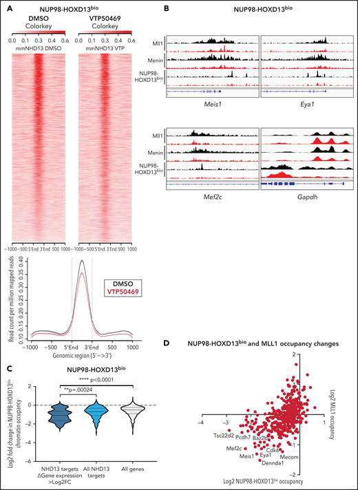 NUP98-fusion proteins dissociate from chromatin upon treatment with VTP50469 at a subset of critical genes. (A) Tornado plot and average signal plot depicting genome-wide NUP98-HOXD13bio chromatin occupancy as determined by ChIPseq in mouse leukemia cells expressing NUP98-HOXD13bio. (B) Gene tracks of MLL1, Menin, and NUP98-HOXD13bio ChIPseq signal (rpm) at selected genes. (C) Violin plot depicting changes in NUP98-HOXD13bio occupancy for previously defined NUP98-HOXD13 target genes13 that display >log2 fold change in gene expression (dark blue, n = 19 genes) vs all NUP98-HOXD13 targets (light blue, n = 295 genes) vs all genes (gray, n = 616 genes). (D) Scatterplot depicting all genes that display changes in both NUP98-HOXD13bio (x-axis) and MLL1 (y-axis) chromatin occupancy as measured by ChIPseq in NUP98-HOXD13bio mouse leukemia cells. Data are representative of 2 independent experiments. Two-way ANOVA with Dunnett’s multiple comparisons test was performed.