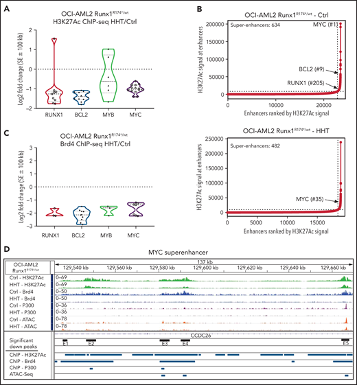 Treatment with HHT alters the epigenome in mtRUNX1-expressing AML cells. (A) Log2 fold-change in H3K27Ac peaks (determined by ChIP-Seq analysis) at super enhancer +/− 100 kb in HHT-treated vs control OCI-AML2 RUNX1R174*/wt cells. Fold changes were calculated utilizing DiffReps. (B) OCI-AML2 RUNX1R174*/wt cells were treated with 100 nM of HHT for 16 hours and cross-linked for H3K27Ac ChIP analysis. Ranked ordering of super enhancers determined by H3K27Ac ChIP-Seq and ROSE analysis. (C) Log2 fold-change in BRD4 peaks (determined by ChIP-Seq analysis) at super enhancer +/− 100 kb in HHT-treated vs control OCI-AML2 RUNX1R174*/wt cells. Fold changes were calculated utilizing DiffReps. (D) IGV plot of sequence tag densities for H3K27Ac, BRD4 ChIP-Seq, P300 ChIP-Seq, and ATAC-Seq peaks at the MYC super-enhancer locus in HHT-treated vs control OCI-AML2 RUNX1R174*/wt cells. Fold changes were calculated utilizing DiffReps. Log2 fold-changes in peak densities for H3K27Ac, BRD4, P300, and ATAC are denoted by blue bars.