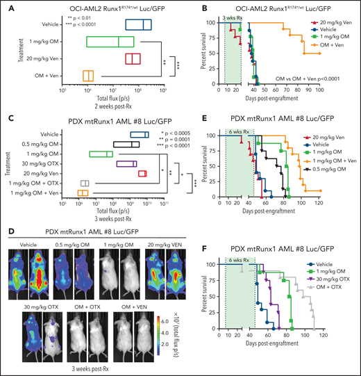 Cotreatment with HHT and venetoclax or OTX015 reduces in vivo leukemia burden and significantly improves survival of mice bearing mtRUNX1 AML xenografts. (A) Total bioluminescent flux in NSG mice (n = 10) bearing OCI-AML2 RUNX1R174*/wt GFP/Luc xenografts treated for 2 weeks with OM (1 mg/kg, s.c., daily × 5 days), venetoclax (Ven) (20 mg/kg, P.O., daily × 5 days) or combination of omacetaxine with venetoclax. (B) Kaplan-Meier survival curve of NSG mice (n = 8) bearing OCI-AML2 RUNX1R174*/wt GFP/Luc xenografts treated for 3 weeks with OM, venetoclax (Ven or combination of omacetaxine with venetoclax. (C) Total bioluminescent flux in NSG mice (n = 10) bearing PDX mtRUNX1 AML#8-GFP/Luc xenografts treated for 3 weeks with OM (0.5 or 1 mg/kg s.c., daily × 5 days per week), BET inhibitor OTX015 (OTX) (30 mg/kg, P.O., daily × 5 days per week), venetoclax, (20 mg/kg, P.O., daily × 5 days per week) or combinations of 1 mg/kg omacetaxine with OTX015 or venetoclax. (D) Representative images of mice treated for 3 weeks as in panel C. (E-F) Kaplan-Meier survival curve of NSG mice (n = 8) bearing PDX mtRUNX1 AML#8-GFP/Luc xenografts treated for 6 weeks with omacetaxine OM, venetoclax, OTX015, or combinations of omacetaxine with venetoclax or omacetaxine with OTX015.