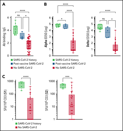 Impact of SARS-CoV-2 infection on immunologic response to BNT162b2 in patients with MM. (A-C) Patients with MM with a history of infection with SARS-CoV-2 (more than 3 months before vaccination) who developed their infection at any time after vaccination or who had never had SARS-CoV-2 infection. (A) S-Flow IgG quantification (history of SARS-CoV-2 infection, n = 11; post-vaccine SARS-CoV-2, n = 4; other, n = 56). (B) Alpha (left) or delta (right) nAb quantification (history of SARS-CoV-2 infection, n = 11; post-vaccine SARS-CoV-2, n = 4; other, n = 56). (C) S1 (left) or S2 (right) IFN-γ EliSpot (SARS-CoV-2 history, n = 5; other, n = 21). Error bars represent standard error. *P < .05; ***P < .001; ****P < .0001. ns, not significant.