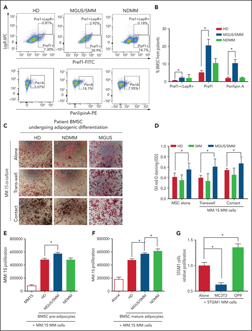 BM stromal cells of precursor stages of MM disease are more prone to differentiate into adipocytes and increase the proliferation of myeloma cells. (A) Representative fluorescence-activated cell-sorting plots of BMSCs from HD and patients with MGUS/SMM and NDMM showing increased expression of adipogenic lineage markers at baseline. (B) Quantification of panel A. (C) Representative Oil Red O staining (C) and associated quantification of neutral lipids (D) from BMSC-derived adipocytes from HD and patients with MGUS/SMM and NDMM cocultured in the presence or absence of MM.1S cells in direct contact or in transwells. (E) Proliferation of MM.1S cells cocultured in the presence of pre-adipogenic BMSCs from HD and patients with MGUS/SMM and NDMM. (F) Proliferation of MM.1S cells cocultured with mature adipocytes differentiated from BMSCs from HD and patients with MGUS/SMM and NDMM. (G) Relative proliferation of 5TGM1 cells after 72 hours of coculture with MC3T3-E1 pre-osteoblasts or OP9 pre-adipocytes. Biospecimens from MGUS and SMM from MGUS and SMM patients were analyzed independently but were pooled together for analysis purposes. All data indicate n ≥ 3; mean ± standard error of the mean. *P < .05.
