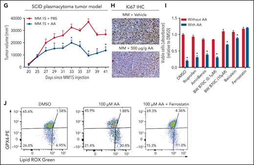 Lower FA uptake promotes proliferation, whereas higher FA uptake results in lipotoxicity through a ferroptosis pathway. (A) AA concentration (nanograms per milliliter) in BM supernatant of patients with MGUS (n = 14), SMM (n = 12), NDMM (n = 22), and RRMM (n = 17) and healthy controls (HD) (n = 7) measured by using an enzyme-linked immunosorbent assay. (B) Dose-dependent effect of AA on cell proliferation in myeloma cell line 5TGM1 quantified by CyQUANT assay after 72 hours of treatment. (C) Effect of AA on cell viability in myeloma cell line 5TGM1 assessed by CellTiter-Glo Assay after 72 hours of treatment. (D) Cell viability of 5TGM1 cells in the presence of linoleic acid assessed by Cell Titer Glow assay after 72 hours of treatment. (E) Effect of AA on human (H929, MM1S, and U266) MM cell proliferation at higher concentrations after 72 hours of treatment. (F) Flow cytometric analysis of lipid peroxidation measured by BODIPY-11C fluorescence in MM.1S after exposure to 100 μM AA for 24 hours. (G) Tumor plasmacytoma model in SCID mice was generated. MM1S (2.5 × 106) cells were injected subcutaneously in the intra-scapular region of mice (n = 10 per group), and the tumor treated with AA (500 μg/g). Tumor growth kinetics is represented for a period of 41 days. PBS was used as vehicle and control. (H) Expression of proliferation marker Ki67 in tumor tissues was determined by immunohistochemistry for groups treated with vehicle and AA (500 μg/g). (I) Apoptosis-inducing AA-signaling pathways in MM cells were investigated. Inhibition of different AA metabolic pathways in MM.1S cells were investigated by using ibuprofen, baicalein, BW B70C, 1-aminobenzotriazole, and ferrostatin; relative cell viability was measured by using an MTT assay. (J) Flow cytometric panel representation of GPX-4 and Lipid ROX modulation by AA and relative recovery by ferrostatin. Data are presented as mean ± standard error of the mean. *P < .05. DMSO, dimethyl sulfoxide.
