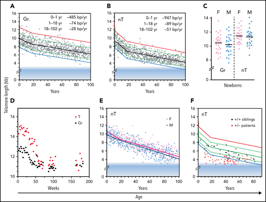 Loss of telomere repeats with age in leukocytes. Adapted, with permission, from Baerlocher et al41 and Aubert et al.42 (A-B) Telomeric DNA in human granulocytes (Gr, n = 808) and naive T cells (nT, n = 832) from normal human donors is lost most rapidly in the first year of life, slows down after puberty, and is more pronounced in T cells than in granulocytes. The range in distribution of telomere length at a given age is expressed as a percentile based on best fit regression lines: 99th (red), 90th (green), 50th (black), 10th (green) and 1st (blue). The shaded blue area reflects ∼3 kb of subtelomeric DNA included in calculated values to allow comparisons with telomere length estimates by terminal restriction fragment (TRF) analysis. (C) The median telomere length in human granulocytes and naive T cells in female (pink; n = 29) vs male (blue; n = 29) cord blood samples. (D) The decline in telomere length in nucleated blood cells from a baboon was nonlinear and showed a pronounced drop after 1 year. (E) In humans, naive T cells from females (n = 414) have, on average, longer telomeres compared with those in males (n = 418). (F) Patients heterozygous for a mutation in either TERT or TERC (n = 58) have very short telomeres compared with siblings (n = 37) without the mutation.