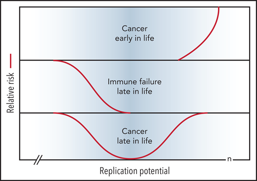 Short telomeres reduce the risk of cancer early in life at the expense of impaired regeneration late in life. Genetic variation in telomere length between humans is shown in blue. The TEDS theory of aging proposes that telomere erosion allowed lifespan to increase by suppressing the growth of malignant tumors before reproduction. Telomere loss has pleiotropic detrimental effects late in life by limiting cell renewal in the immune system and other tissues. Long and short telomeres increase the risk of cancer late in life via distinct, but partially overlapping, mechanisms (see text for details). Note that the rate of telomere loss depends, not only on cell divisions, but also on damage to telomeric DNA and variable levels of telomerase. The replication potential or maximum number of cell divisions (n) in stem cells is not known but is predicted to be less than 100 by TEDS: 50 to 60 divisions predicted by Schrödinger47 plus 0 to 40 additional cell divisions to account for stem cell renewal over a lifetime.