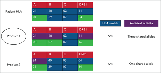 Product selection of third-party ESTs. Recipient HLA is compared with 2 separate third-party products along with antiviral activity. Product 1 is a 5/8 HLA match with the patient, whereas product 2 is a 6/8 HLA match. On prior evaluation of products to determine through which alleles the product has antiviral activity, product 1 demonstrated antiviral activity in 3 of these shared alleles (HLA restriction), whereas product 2 had antiviral activity in only 1 shared allele. Because of this antiviral activity in more shared alleles, product 1 is chosen as the initial suitable product.
