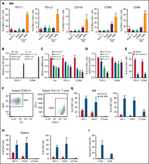 AP-1 TF Jun regulates PD-L1 and CD86 expression and contributes to the suppressive immune microenvironment in NA-AML mice. (A) Quantification of bone marrow Mac1+c-Kit+ cells expressing immune checkpoint ligands PD-L1/PD-L2, CD155, and CD80/CD86 in moribund NA mice with CMML (NA-CMML) or AML (NA-AML) and age-matched control (Vav-Cre), Asxl1−/−, and Nras mice. (B) Enrichment of Jun binding at PD-L1 and CD86 enhancer/promoter regions was analyzed using chromatin immunoprecipitation (ChIP)-qPCR in bone marrow cells of moribund NA-AML and age-matched controls, Asxl1−/−, and Nras mice. Immunoglobulin G (IgG) was used as a negative control. The enrichment was normalized to 5% input (n = 3). (C-D) NA-AML cells were cultured in vitro and infected with pGIPZ lentiviral vectors encoding short hairpin Control (shControl) or shJun. At 72 hours after infection, (C) mRNA levels of Jun, PD-L1, and CD86 were analyzed in sorted c-Kit+GFP+ cells using qRT-PCR, and (D) surface expression of PD-L1 and CD86 were analyzed in Lin–c-Kit+GFP+ cells using flow cytometry. (E) NA-AML cells were cultured in vitro and treated with dimethyl sulfoxide (DMSO) or 4 μΜ SR11302 (AP-1 inhibitor) for 5 days. Surface expression of PD-L1 and CD86 were analyzed in Lin–c-Kit+ cells using flow cytometry. (F-I) Sublethally irradiated mice were transplanted with 2.5 × 105 bone marrow cells from moribund NA-AML mice or age-matched control mice. (F) In NA-AML recipients, donor-derived (CD45.2+) cells were exclusively Mac1+ leukemia cells, whereas T cells (Thy1.2+) were derived from the host (CD45.1+). (G-H) Quantification of (G) bone marrow and (H) spleen CD4 and CD8 T cells expressing immune checkpoint receptors PD-1, TIGIT, and CTLA4. (I) Quantification of exhausted T cells (PD-1+TIGIT+LAG3+) in spleen CD4 and CD8 T cells in NA-AML and control recipients. Data are presented as mean + SD. *P < .05; **P < .01; ***P < .001. SSC, side scatter.