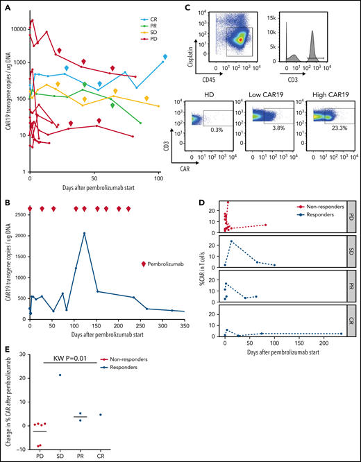 Changes in CAR19 copy number and percentage of CAR T cells after pembrolizumab. (A) CAR19 transgene copies/ug DNA for each patient after administration of pembrolizumab (n = 11). Pembrolizumab was started at day 0. Each diamond indicates a subsequent dose of pembrolizumab. Data are classified based on 3-month ORR. One patient with a PR did not have longitudinal data for CAR19 transgene copies available. (B) CAR19 transgene copies per μg DNA for patient 4, who had a complete response to pembrolizumab. (C) Gating strategy for identifying CAR T cells. Live cells were identified as CD45+Cisplatin−. T cells are gated as CD3+ live cells. CAR T cells are identified using a CAR19 antibody and gating the CAR T cells as CAR19+CD3+ live cells. (D) Percentage of CAR T cells among total T cells as a function of days from pembrolizumab infusion, separated by clinical response (n = 11). Patients with progressive lymphoma after pembrolizumab are indicated in red (“nonresponders,” which includes PD). Patients with clinical benefit after pembrolizumab are indicated in blue (“responders,” which includes SD, PR, and CR). (E) Cumulative dot plot showing the change (difference) in CAR T-cell percentage between the first measurement after pembrolizumab and pre-pembrolizumab baseline in patients with PD, SD, PR, and CR (n = 10).