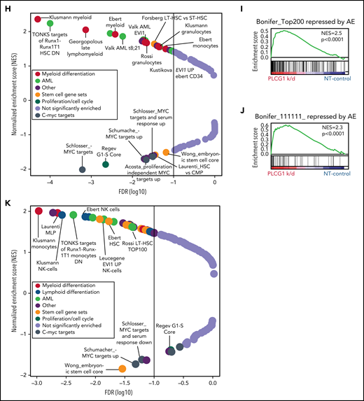 AML1-ETO–induced cellular functions depend on PLCG1. Proliferation assayed by cell counting after trypan blue exclusion for (A) SKNO-1_Cas9-Blast cells transduced with gRNAs targeting PLCG1, RPA3, or a nontargeting control (gLuc) and (B) Kasumi-1 cells transduced with shRNAs targeting PLCG1or a nontargeting control (shSCR). n = 4-5 independent experiments, 1-way ANOVA. Representative western blot images confirming PLCG1 depletion are shown (day 5 or 7 postinfection). Colony-forming unit analysis in (C) SKNO-1_Cas9-Blast and (D) Kasumi-1 cells on day 14. n = 4-6 independent experiments; paired Student t test. (E) Kaplan-Meier survival curves of humanized NSGS recipient mice, n = 14 mice for shPLCG1-1 or shPLCG1-2 vs n = 10 mice for nontargeting control (shSCR); shown are 3 independent cohorts, Mantel-Cox test. (F-G) Quantitative analysis (left) and representative histograms (right) after flow-cytometric evaluation of CD14 and CD13 expression on (F) Kasumi-1 cells transduced with shRNAs targeting PLCG1or a nontargeting control (shSCR) and (G) SKNO-1_Cas9-Blast cells transduced with gRNAs targeting PLCG1 or a nontargeting control (gLuc). n = 4 independent experiments; paired t test. (H) GSEA of expression changes in 160 hematopoiesis and leukemia-associated gene sets in Kasumi-1 cells transduced with a PLCG1 shRNA (sh1-1) against a nontargeting control (n = 4 for each group). Plotted are normalized enrichment scores (NES) against the log10 false discovery rate (FDR). FDR <0.1 is indicated by the vertical line. (I-J) GSEA showing upregulation of genes bound and repressed by the AML1-ETO fusion protein in Kasumi-1 cells transduced with a PLCG1 shRNA against a nontargeting control. (K) GSEA of expression changes in 160 hematopoiesis and leukemia-associated gene sets in SKNO-1_Cas9-Blast cells transduced with a PLCG1 sgRNA against a nontargeting control (n = 4 for each group). Plotted are normalized enrichment scores (NES) against the log10 FDR. FDR <0.1 is indicated by the vertical line.