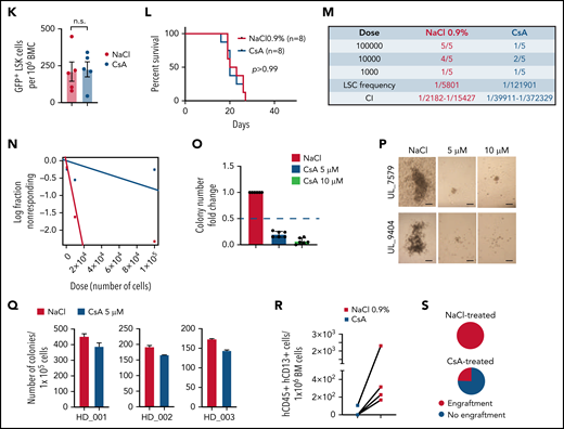 Pharmacologic suppression of Ca++-signaling inhibits AML1-ETO LSC function in vitro and in vivo. (A) Unsupervised hierarchical clustering of significantly downregulated proteins following genetic inactivation of PLCG1 by a specific gRNA in SKNO-1_Cas9-Blast cells. (B) Network map displaying the significantly enriched signaling pathways upon genetic inactivation of PLCG1, annotation from Reactome. The node size and color represent number of proteins participating in each node. (C) Proliferation assayed by cell counting after trypan blue exclusion for Kasumi-1, SKNO-1, HL-60, and OCI-AML3 cells following treatment with the calcineurin inhibitor cyclosporin A (CsA, 5 μM) or diluent control (NaCl 0.9%). n = 4 independent experiments, 1-way ANOVA. (D) Analysis scheme of primary recipient mice following ciclosporin A (CsA) treatment vs diluent control (NaCl 0.9%). (E) Spleen weight of AE/K primary recipient mice; Mann-Whitney U test. (F) Histologic analysis of liver, lung, and spleen morphology after onset of AML in AE/K primary recipient mice treated with CsA or diluent control (NaCl 0.9%). Scale bars, 100 μm. (G) Immunophenotypic analysis of AE/K GFP+ BM LSK cells; Mann-Whitney U test. (H) Kaplan-Meier survival curves of AE/K secondary recipient mice. Irradiated (13 Gy, single dose) 6- to 8-week-old recipients of 2 × 106 bone marrow cells from AE/K CsA (n = 7) or NaCl 0.9% (n = 8) treated primary recipients; Mantel-Cox test. (I) Spleen weight of MA9 primary recipient mice treated with CsA or diluent control (NaCl 0.9%), n.s., not significant. (J) Histologic analysis of liver, lung, and spleen morphology after onset of AML in MA9 primary recipient mice after treatment with CsA or diluent control. Scale bars, 100 μm. (K) Immunophenotypic analysis of GFP+LSK cells in the bone marrow of MA9 primary recipient mice. (L) Survival of MA9-transformed secondary recipient mice. Irradiated (13 Gy, single dose) 6- to 8-week-old recipients of 2 × 106 bone marrow cells from MA9 CsA or NaCl 0.9% treated primary recipient mice (n = 8 CsA; n = 8 NaCl 0.9%), Mantel-Cox test. (M-N) Number of engrafted mice per dilution in the NaCl- vs CsA-treated cohort. LSC frequency was 1/5801 for NaCl-treated recipients (95% confidence interval, 1/2182-15,427) and 1/12,1901 for CsA-treated recipients (95% confidence interval, 1/39,911-372,329), P = .000026 using Poisson analysis; n = 5 mice per dilution and treatment, analysis was performed using ELDA (Extreme Limiting Dilution Assay) software.44 (O) Colony formation of primary human AE/t(8;21) AML cells (n = 6 individual patients). Colony number per sample following pharmacologic inhibition with CsA (5, 10 μM) compared with diluent control (NaCl 0.9%). (P) Representative pictures of colonies from t(8;21) AML bone marrow cells after pharmacological inhibition with cyclosporin A compared with diluent control (NaCl). Scale bars, 200 μm. (Q) Colony count of BM cells derived from 3 independent healthy donors. Colony number per sample following pharmacologic inhibition with CsA (5 μM) compared with diluent control (NaCl 0.9%). (R) Number of hCD4+ hCD13+ cells per 1 × 106 bone marrow (BM) cells after treatment with CsA (n = 4 mice) compared with diluent control (NaCl 0.9%; n = 4 mice). (S) Pie charts depicting engraftment of t(8;21) AML cells (%) after treatment with CsA or diluent control.