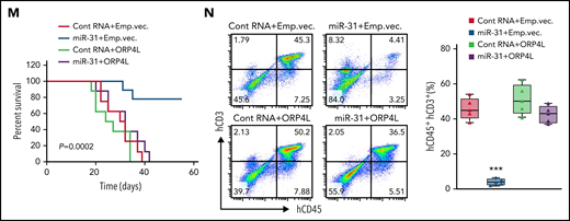 Tax triggers ORP4L expression and T-cell malignant transformation via suppression of miR-31. (A-B) qPCR (A) and western blot (B) analyses confirming the effects of miR-31 inhibitor on ORP4L expression in HeLa cells and the effects of miR-31 mimic on ORP4L expression in MT-4 cells. Mean ± standard deviation (SD; n = 3 experimental repeat; Student t test). (C) qPCR analysis of miR-31 expression in T cells of patients with ATL (n = 37), as compared with normal T cells (n = 5). (D) Pearson’s correlation coefficient of miR-31 and ORP4L expression within human ATL specimens (n = 37). (E) Multicolor fluorescence in situ hybridization analysis of the genomic status of miR-31 encoding (green probe) and its host gene (origin probe) regions in T cells of 2-month-old WT and LCK/R26Tax mice. The chromosome 4 centromere (red probe) is included as a control. Scale bar, 5 μm. (F) miR-31 expression in 2-month-old WT and LCK/R26Tax mouse T cells analyzed by qPCR. Mean ± SD (n = 3 mice of each group; Student t test). (G) Western blot analysis of the expression of ORP4L in LCK/R26Tax T cells or LCK/R26Tax T cells overexpressing miR-31. The cells were isolated and infected with lentivirus carrying control RNA or miR-31 and cultured for 96 hours in vitro. (H) Western blot analysis of the expression of ORP4L in human normal T cells or human ATL T cells overexpressing miR-31. The cells were isolated and infected with lentivirus carrying control RNA or miR-31 and cultured for 96 hours in vitro. (I) Kaplan-Meier comparative survival analysis of B-NDG mouse recipients of WT T cells or LCK/R26Tax T cells overexpressing miR-31 or overexpressing both miR-31 and ORP4L. The LCK/R26Tax T cells were coinfected with the lentivirus carrying control RNA miR-31, empty vector (Emp.vec.), or ORP4L as follows: control RNA+Emp.vec., miR-31+Emp.vec., miR-31+ORP4L, and cultured for 96 hours in vitro before transplantation (n = 7; mice of each group, log-rank test). (J) Representative images of peripheral blood smears from B-NDG mice treated as in panel I. The number of abnormal lymphocytes on smears in each cohort are indicated below the images. Scale bar, 10 μm. (K) The percentage of CD3+CD4+, CD4+CD8+, CD44+CD25+, and CD3+c-Kit+ cells in peripheral blood of B-NDG mice treated as in panel I. Mean ± SD (n = 7 mice of each group; Student t test). (L) Representative histologic hematoxylin and eosin– and anti-CD3–stained sections showing T-cell infiltration in spleen and liver of B-NDG mice treated as in panel I. Scale bars, 100 μm. (M) Kaplan-Meier comparative survival analysis of B-NDG mouse recipients of T cells of patients with ATL (ATL#21). The cells were isolated and coinfected with lentivirus carrying control RNA, miR-31, Emp.vec. or ORP4L as follows: control RNA+Emp.vec., miR-31+Emp.vec., control RNA+ORP4L, and miR-31+ORP4L and cultured for 96 hours in vitro before transplantation (n = 8 mice each group, log-rank test). (N) The percentage of human CD45+CD3+ ATL T cells in peripheral blood of B-NDG mice treated as in panel M. Mean ± SD (n = 8 mice in each group; Student t test). ***P < .001.
