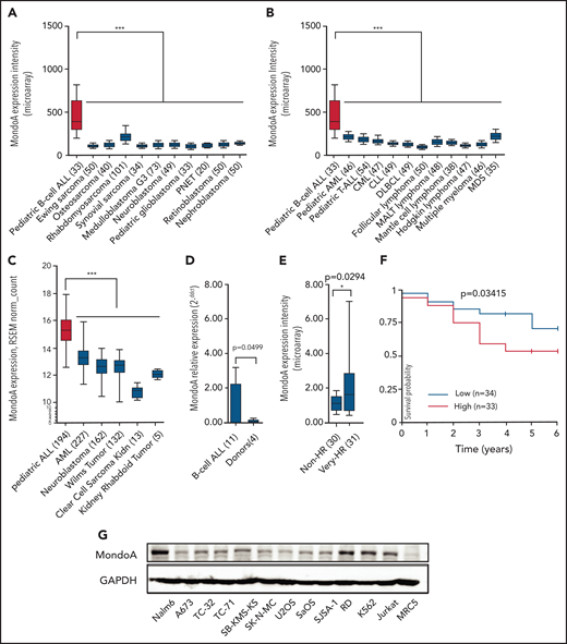 MondoA (MLXIP) is highly expressed in primary B-ALL and correlates with relapse risk. (A) MondoA (ID 22877_at) expression in pediatric B-ALL relative to pediatric solid tumors (n = 533; *P < .05; **P < .01; ***P < .001; ****P < .0001; 1-way analysis of variance (ANOVA) with the Bonferroni multiple comparison test). Numbers of analyzed samples are shown in brackets. All data sets were normalized simultaneously using robust multiarray average (RMA) and custom microarray (v15 ENTREZG) CDF files. Data are depicted as box plots. Whiskers indicate the 10th and 90th percentiles. Data presented in linear scale. MondoA Microarray ENTREZG probe set identifier (ID) is 22877_at. (B) MondoA (ID 22877_at) expression in lymphoid and myeloid neoplasms (n = 542; P < .001; 1-way ANOVA with Bonferroni multiple comparison test). (C) MondoA expression in pediatric ALL relative to AML and other pediatric tumors (RNA-Seq data; UCSC Xena; n = 733; P < .001; 1-way ANOVA with Bonferroni multiple comparison test). (D) MondoA relative expression by qRT-PCR in peripheral blood mononuclear cell (PBMC) samples from patients (n = 11) with primary pediatric B-ALL compared with 3 PBMCs from healthy donors (n = 4), normalized to donor PBMC sample. Results of 2 independent experiments in duplicate are presented as means plus or minus standard error of the mean (SEM; P = .0499; Welch Student t test). (E) MondoA overexpression correlates with relapse risk in B-ALL. MondoA expression was 63% higher (P = .0294; Welch Student t test) in the very HR group (n = 31) as compared with the non-HR group (n = 30), defined by prednisone good response (PGR), remission on day 33 of induction therapy, (MRD-MR) minimal residual disease- minimal risk, or (MRD-SR) minimal residual disease- standart risk. All cases are negative for prognostically relevant molecular markers TEL/AML1, BCR/ABL, MLL/AF4 (data from the BFM study group). Bars indicate median; boxes represent middle 50% of data. Whiskers indicate 10th and 90th percentiles. (F) Kaplan-Meier curve indicating significant difference in survival of B-ALL patients with positive MRD on day +28 depending on MondoA expression. All cases are negative for BCR/ABL (n = 67; P = .03415). (G) Western blot showing MondoA and glyceraldehyde-3-phosphate dehydrogenase (GAPDH) as loading control in leukemias and different tumor cell lines. AML, acute myeloid leukemia; CLL, chronic lymphocytic leukemia; CML, chronic myeloid leukemia; DLBCL, diffuse large B-cell lymphoma; MALT lymphoma, mucosa-associated lymphoid tissue lymphoma; MDS, myelodysplastic syndrome; PNET, primitive neuroectodermal tumor; RSEM, RNA-Seq by expectation-maximization; T-ALL, T-cell acute lymphoblastic leukemia. *P < .05; ***P < .001.