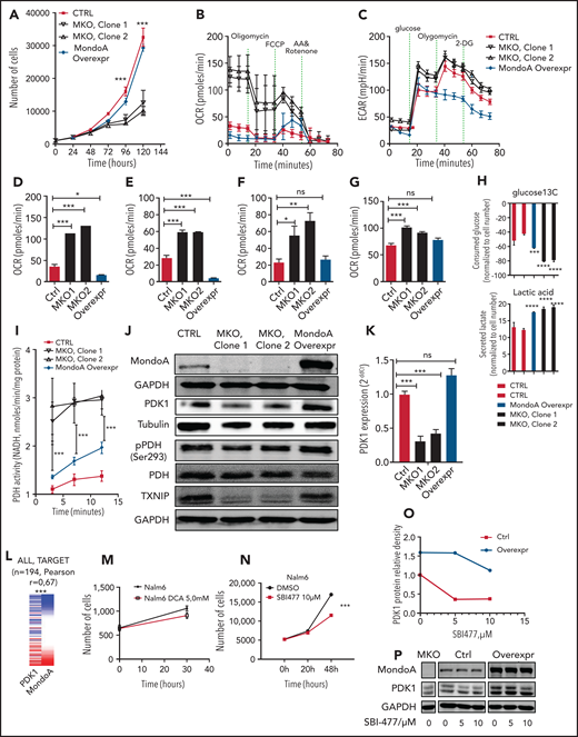 MondoA provides leukemia stress resistance by limiting Oxphos and fatty acid synthesis via decreased PDH activity. (A) Long-term proliferation measured by direct cell counting. Control Cas9-only Nalm6 B-ALL cell line, MondoA overexpression, and MKO, grown under normoxia (20% O2) (n = 6 for each time point, P < .001 at 96 hours and 120 hours). (B) Mitochondrial respiration determined by cellular OCR in control, MKO clones, and Nalm6 cells with MondoA overexpression using a Seahorse extracellular flux analyzer (Agilent). (C) Glycolysis determined by ECAR in control, MKO clones, and Nalm6 cells with MondoA overexpression using a Seahorse extracellular flux analyzer (Agilent). (D) Basal respiration as measured OCR before oligomycin injection (P < .05 and P < .001, 2-way ANOVA with Bonferroni posttest). (E) ATP production is measured as the difference between basal respiration and OCR levels after oligomycin injection. (F) Maximal respiration as measured by OCR levels after FCCP injection (P < .05 and P < .01, 2-way ANOVA with Bonferroni posttest). (G) Glycolysis as measured as the difference between basal ECAR and ECAR levels after glucose injection. (H) Gas chromatography–mass spectrometry quantification of glucose uptake from, and lactate secretion into, culture medium of the indicated cell lines (P ≤ .0001, 2-way ANOVA with the Tukey multiple comparisons test). (I) PDH activity assessed by NADH production. PDH activity in control, MKO, and MOE Nalm6 cells assessed by the colorimetric PDH activity assay kit (n = 3 for each time point, P < .001, 2-way ANOVA with the Bonferroni posttest). (J) Western blot showing MondoA, total PDK1, pPDH (Ser293), total PDH, TXNIP, α-tubulin, and GAPDH as loading controls in Cas9-only control Nalm6 cells, MKO, and MOE cells. (K) PDK1 mRNA in MKO clones compared with CTRL and MOE clones measured by qRT-PCR (P < .001, 2-way ANOVA with the Bonferroni posttest). (L) Heat map showing PDK1 gene coexpression with MondoA in B-ALL. RNA-Seq data of 194 primary ALL patient samples (TARGET) from Xena browser. (M) Pharmacological inhibition of Nalm6 cell proliferation with PDK-inhibitor dichloroacetic acid (DCA; 5 mM) as measured by live cell analysis with image-based cytometry. (N) Pharmacological inhibition of Nalm6 cell proliferation with MondoA-inhibitor SBI477 (10 µM) as measured by live cell analysis with image-based cytometry. (O) Line graph and (P) western blot showing PDK1 protein relative density in Nalm6 control cells and MOE cells after 16 hours of SBI477 treatment at various concentrations (0, 5, 10 µM). DMSO, dimethyl sulfoxide. *P < .05; **P < .01; ***P < .001; ****P < .0001.