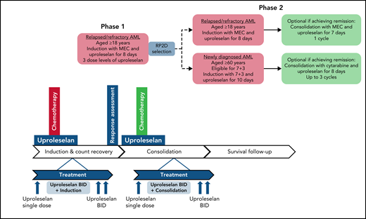 Treatment schema of phase 1 and phase 2. BID, twice daily; MEC, combination regimen mitoxantrone, etoposide, cytarabine; RP2D, recommended phase 2 dose; 7 + 3, combination regimen cytarabine/idarubicin.