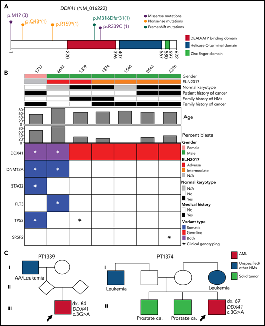 The pathogenic and likely pathogenic germline variants identified in DDX41. (A) Location of DDX41 P/LP variants, with the number of unique patients shown in parentheses. (B) Co-occurring somatic mutations as determined by clinical panel (*) and/or whole-exome sequencing (colored squares) for the patients with P/LP germline variants in DDX41. (C) Pedigree of 2 families with history of hematological malignancies and a P/LP germline variant identified in the DDX41 gene in the proband. The number designated by “dx.” indicates the age at diagnosis. The age at diagnosis is unknown for individuals if not indicated in the pedigree.