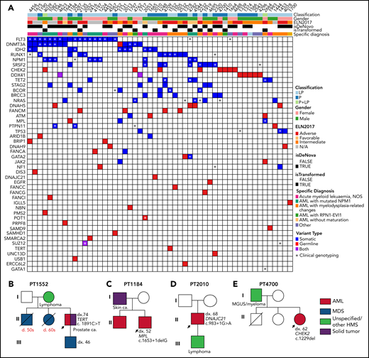 C-occurring somatic mutations in 53 patients with 50 unique P/LP variant(s). (A) Co-occurring somatic mutations for the patients with P/LP germline variants as determined by clinical panel and whole-exome sequencing. (B-E) Pedigree of 4 families with history of hematological malignancies and a P/LP germline variant identified in the genes TERT, MPL, DNAJC21, and CHEK2 in the proband, respectively. The number designated by “dx.” indicates the age at diagnosis, and that by “d.” indicates the age of death. The age at diagnosis or death is unknown for individuals if not indicated in the pedigree.