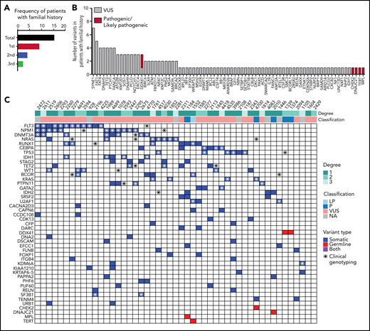 Forty-nine patients with familial clustering of hematological malignancies. (A) Familial history follow-up indicates that 15% of the patients have an affected first-degree, second-degree, or third-degree relative with a hematologic malignancy. (B) Number of pathogenic/likely pathogenic and VUS germline variants in patients with familial clustering. (C) Co-occurrence of somatic mutations in patients harboring germline variants and familial clustering. A full list of somatic and germline variants is included in supplemental Table 7.