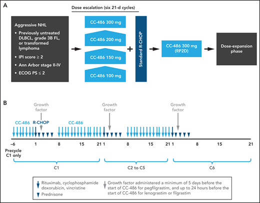 CC-486 DLBCL-001 study design. (A) Overall study design. (B) Dosing schedule. DLBCL, diffuse large B-cell lymphoma; ECOG PS, Eastern Cooperative Oncology Group performance status; FL, follicular lymphoma; IPI, International Prognostic Index; R-CHOP, rituximab plus cyclophosphamide, doxorubicin hydrochloride, vincristine, and prednisolone; RP2D, recommended phase 2 dose.