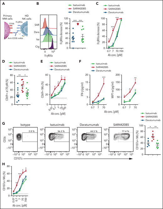 SAR442085 has higher ability to stimulate ADCC against primary MM cells. (A-H) NK cells purified from HD were cocultured with newly diagnosed MM patients' CD138+ plasma cells preincubated with increasing concentrations of SAR442085, daratumumab, or isatuximab. Isotype control was used at 700 pM in all conditions. (B) FACS histograms and graph showing the NK cell changes in FcγRIIIa expression as compared with Ig control in the presence of the indicated mAbs at 70 pM. (C) Relative decrease in FcγRIIIa expression as compared with Ig control (mean ± SEM of 9 MM patients). (D) FACS histograms and graph showing the CD69 expression of NK cells in the presence of the indicated mAbs at 70 pM. (E) CD69 expressing NK cells with increasing dose of the indicated mAbs (mean ± SEM of 9 MM patients). (F) IFN-γ and MIP1-α concentrations in the coculture supernatants after 18 hours. (G) FACS plots and graph showing the NK cell CD107a expression in the presence of the indicated mAbs at 70 pM. (H) CD107a expressing NKs with increasing dose of the indicated mAbs (mean ± SEM of 6 MM patients). Statistical differences between groups were determined by a 2-way ANOVA with Bonferroni-Holm correction. For IFN-γ and MIP1-α cytokines, this analysis was performed on squared root transformed data. *P < .05, **P < .01, ***P < .001.