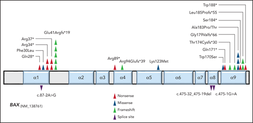 BAX mutations detected in the non-CLL compartment of patients on long-term venetoclax therapy for relapsed/refractory CLL. Location and type of variants are indicated by color-coded triangles on linear protein structure of BAX. Splice site variants are indicated below the protein at positions relative to their nucleotide position.