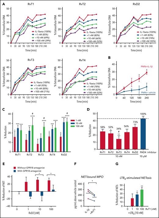 RvTs reduce NETs with isolated human PMNs. Freshly isolated human PMNs were incubated with test compounds RvT1, RvT2, RvT3, RvT4, and RvD2 (1-100 nM) or vehicle control (0.01% ethanol v/v) at 37°C for 15 minutes, followed by the addition of IL-1β (50 ng/mL) with Sytox Green (5 µM). Fluorescence was monitored from 0 to 4 hours. (A-B) Dose response and time course of NETosis. The fluorescence of extracellular DNA in the presence of IL-1β alone was taken as 100%. The percentages of extracellular DNA in the presence of test compounds (1-100 nM) at 4 hours are indicated in parentheses. (A) One representative from 7 separate donors. (B) Mean ± SEM. n = 3 separate donors. *P < .05, vs PMN + vehicle. (C) Dose response of each RvT and RvD2. Results are expressed as percent reduction compared with IL-1β alone at 4 hours. Mean ± SEM. n = 7 separate donors. *P < .05, **P < .01, ***P < .001, ****P < .0001, vs 0 nM; #P < .05, vs 1 nM (two-way analysis of variance with Tukey’s multiple comparisons). (D) Comparison of SPMs (10 nM) and a PAD4 inhibitor (10 μM). Numbers shown on top of each bar are percentages compared with the PAD4 inhibitor that was taken as 100%. Mean ± SEM. n = 7 (SPMs) or n = 3 (inhibitor) separate donors. *P < .05, **P < .01, vs PAD4 inhibitor; #P < .05, vs RvD2 (one-way analysis of variance with Tukey’s multiple comparisons). (E) GPR18-dependent RvD2 action. PMNs were incubated with a GPR18 antagonist. O-1918 (20 μM) for 10 minutes before the addition of RvD1 (1-100 nM) and/or IL-1β. Mean ± SEM. n = 3 separate donors. *P < .05, two-tailed Student t test. (F) MPO levels. PMNs were incubated with RvT1 (10 nM) or vehicle control at 37°C for 15 minutes, followed by the addition of IL-1β (50 ng/mL) for 4 hours. DNA (NET)-bound MPO was determined. MPO levels from the same donors are connected by black lines. n = 3 separate donors. *P < .05. (G) LTB4-stimulated NETosis. PMNs were incubated with RvT1 (1-100 nM) or vehicle control at 37°C for 15 minutes, followed by the addition of LTB4 (10 nM) with Sytox Green (5 µM). Fluorescence was monitored at 4 hours. Mean ± SEM. n = 3 separate donors. *P < .05, **P < .01, vs LTB4 alone and LTB4 + 1 nM RvT1.