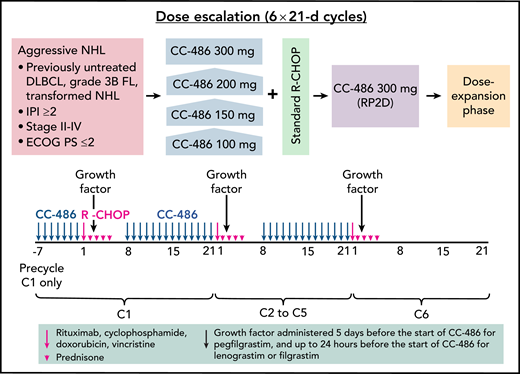 CC‐486 DLBCL‐001 study design and dosing schedule. ECOG PS, Eastern Cooperative Oncology Group performance status; FL, follicular lymphoma; IPI, International Prognostic Index; NHL, non-Hodgkin lymphoma; RP2D, recommended phase 2 dose. See Figure 1 in the article by Martin et al that begins on page 1147.