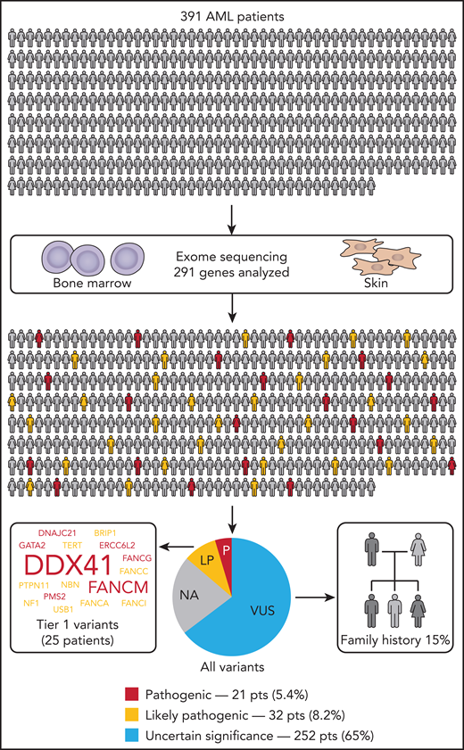 Germline screening for HM-predisposition variants in the Beat AML cohort identified 13.6% of patients with AML with P/LP variants classified according to American College of Medical Genetics and Genomics guidelines. Family history was also assessed independent of genomic findings, with 15% of assessed individuals positive for a family history of HMs. LP, likely pathogenic; NA, patients without variants in the other categories; P, pathogenic; pts, patients; VUS, variant of uncertain significance.