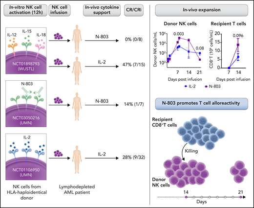 Summary of clinical trials from WUSTL (Washington University) and UMN (University of Minnesota) studying cohorts of patients with AML treated with adoptive haploidentical NK cell therapy with N-803 or IL-2 support and their outcome. In vivo expansion of donor NK and recipient CD8+ T-cell frequency at the indicated days after NK cell infusion (WUSTL cohort) (see Figure 1C and 1I in the article by Berrien-Elliott et al).1 The low persistence of infused NK cells is related to recipient CD8+ T cell-mediated alloresponses induced by IL-15/N-803. Professional illustration by Somersault18:24.