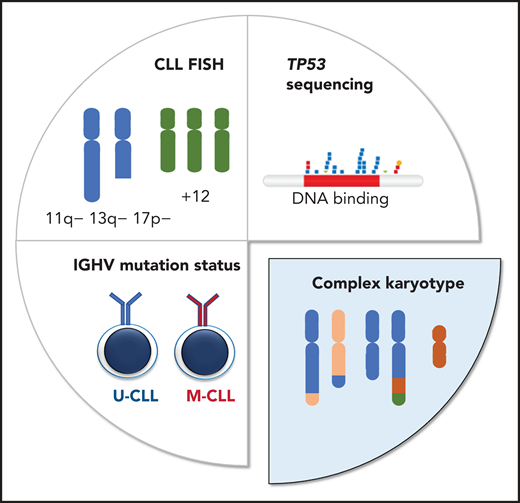 Different diagnostic methods are applied to determine clinically relevant genetic markers in CLL. Fluorescence in situ hybridization (FISH) is performed to detect the deletions of 11q, 13q, and 17p, as well as trisomy 12, whereas the IGHV and TP53 mutation status is determined by sequencing (Sanger sequencing and/or NGS). Karyotypic complexity is determined by cytogenetic analysis, counting both numerical and structural chromosomal aberrations.