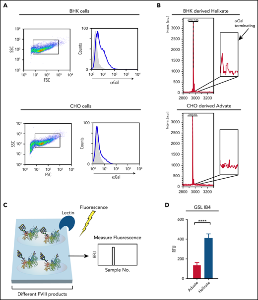 BHK-derived FVIII possesses higher levels of the αGal antigen than does CHO-derived FVIII. (A) BHK or CHO cells were incubated with FITC-IB4 lectin, followed by examination of IB4 binding by flow cytometric analysis. Blue lines represent IB4 binding, and gray shaded areas indicate no stain control. (B) Mass spectrometry analysis for αGal bearing N-glycans from BHK-derived FVIII (Helixate) or CHO-derived FVIII (ADVATE). Highlighted peaks correspond to biantennary N-glycans decorated with 1 or 2 αGal residues. (C) Schematic diagram of microarray construction, interrogation, and analysis for examining possible lectin and antibody interactions with BHK-derived or CHO-derived FVIII. (D) Quantitative analysis of IB4 binding following incubation with a microarray populated with ADVATE and Helixate. ****P < .0001, Student t test. FSC, forward scatter; RFU, relative fluorescence unit; SSC, side scatter.