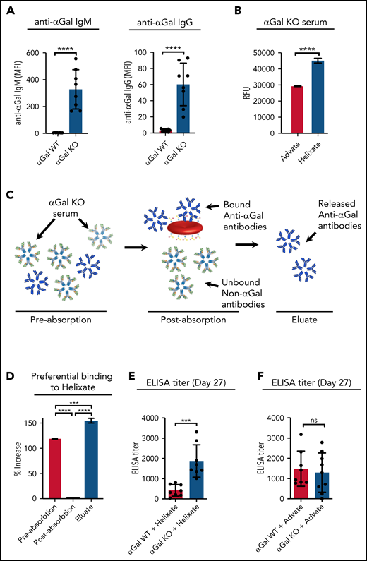 BHK-derived FVIII exhibits increased reactivity with αGal-KO serum and increased immunogenicity in αGal-KO mice. (A) Anti-αGal antibodies were evaluated by flow crossmatch analysis using αGal+ RBCs. Results are reported as mean fluorescence intensity (MFI). (B) Incubation of serum from αGal-KO mice with microarray containing BHK-derived FVIII (Helixate) or CHO-derived FVIII (Advate), followed by analysis of bound antibody. (C) Schematic diagram outlining the method used to absorb and elute αGal-specific antibodies from the serum of αGal-KO mice. (D) Evaluation of serum preabsorption, postabsorption on αGal RBCs, and antibody eluate obtained following elution of serum specifically absorbed onto αGal+ RBCs. (E) Evaluation of anti-FVIII antibody levels by ELISA following injection of BHK-derived FVIII into WT or αGal-KO recipients. (F) Evaluation of anti-FVIII antibody levels by ELISA following injection of CHO-derived FVIII into WT or αGal-KO recipients. ***P < .001, ****P < .0001, Student t test (A-B,E-F); ***P < .001, ****P < .0001, 1-way analysis of variance with Tukey’s post test (D). ns, not significant; RFU, relative fluorescence unit.