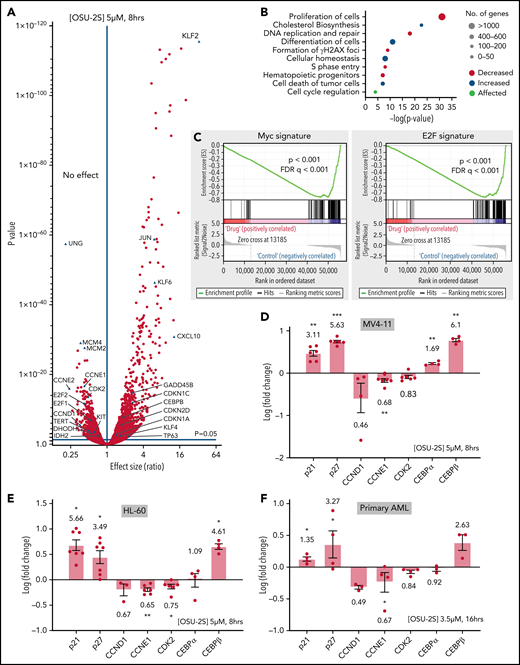 PP2A–mediated gene expression changes in response to OSU-2S. (A) Differential expression of genes in MV4-11 cells (5 µM, 8 hours) treated with OSU-2S, compared with vehicle control (Veh). (B) Major pathways predicted to be differentially regulated from OSU-2S–mediated changes in the transcriptome. (C) Gene Set Enrichment Analysis enrichment plot showing negative correlation of Myc and E2F targets with OSU-2S-treated RNA expression. Fold change (log) modulation of cell cycle regulators and differentiation genes in MV4-11 (D) and HL-60 (E) cells treated with OSU-2S (5 μM, 8 hours) normalized to Veh-treated cells. (F) Fold change (log) modulation of cell cycle regulators and differentiation genes in primary AML cells (AML 17-AML 20) treated with OSU-2S (3.5 μM, 16 hours) normalized to Veh-treated cells. *P < .05; **P < .01; ***P < .001.
