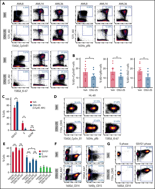 PP2A–mediated cell cycle arrest in response to OSU-2S. Representative plots (n = 7) (A) and quantification (B) of mass cytometric analysis of primary AML cells treated with Veh or OSU-2S (3 µM, 48 hours) showing a decrease in cell cycle and proliferation markers of phosphoretinoblastoma (pRb), cyclin B1, IdU, and Ki67 with OSU-2S treatment. (C) Mass cytometric analysis of primary AML cells (n = 5; AML 2, 8, 14, 15, and 21) treated with Veh or OSU-2S (3 μM, 48 hours) showed a significant increase in G0/G1 (P = .0265) and a significant decrease in S phase (P = .0339) with OSU-2S. No significant changes in G2/M were observed. pRb, IdU, and cyclin B1 were used to gate the cell cycle phases.41 (D) OSU-2S (5 μM, 48 hours) decreased cyclin B1, pRb, and Ki67 levels in HL-60 cells, as detected by mass cytometry. (E) Percentage of cells in the G0/G1, S, and G2M phases of the cell cycle in HL-60 cells (n = 3) treated with Veh or OSU-2S (5 μM, 16 hours), with or without pretreatment (2 hours) with 5 nM okadaic acid (OA), as detected by propidium iodide staining and flow cytometry. OSU-2S significantly accumulated cells in the G0-G1 phase (P = .0017) and decreased the proportion of cells in the S phase (P = .0003), which was rescued with OA (P = .0347). (F) Analysis of proliferation vs differentiation markers (Ki67 vs CD14 and CD15) show that cells induced to differentiate by OSU-2S are negative for Ki67. (G) OSU-2S–mediated induction of maturation markers in cells in the G0/G1 phase but not in the S phase. *P < .05; **P < .01; ***P < .001.