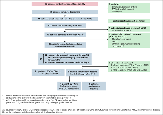 Screening, treatment, and follow-up. Of 41 screened and treated patients, 34 completed the induction and consolidation phase. Seven patients discontinued treatment according to described reasons. Of the 34 patients, final restaging was performed during cycle 14 until cycle 15, day 1. Twenty-two patients reached CR at final restaging and stopped treatment (1 patient stopped due to AE, arthralgia I°, but reaching CR at final restaging). Six patients continued ibrutinib in maintenance, 6 patients discontinued due to different described reasons. At time of data cut-off, 1 patient reached EOT.