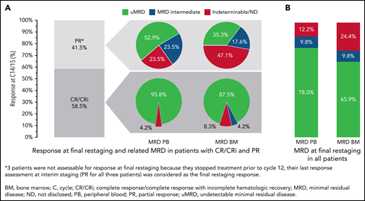 Response and MRD at final restaging (C14/15). (A) Clinical and MRD response at final restaging in patients with CR/CRi and PR. (B) MRD in PB and BM at final restaging in all patients. Percentages of patients reaching CR and PR at final restaging (cycle 14/15) and MRD in PB and BM sorted by remission status (A) and MRD response in PB and BM in all patients (B).