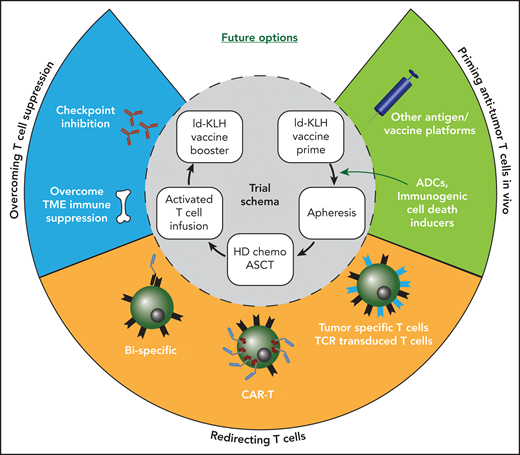 Combining immunotherapy approaches in myeloma. Inner circle depicts the idiotype (Id) vaccine trial schema used by Qazilbash et al. Opportunities to combine other immunotherapy approaches are depicted in the outer circle. ADCs, antibody-drug conjugates; ASCT, autologous stem cell transplant; HD, high dose; TME, tumor microenvironment.
