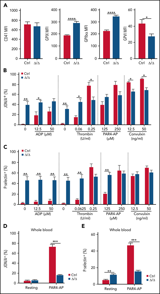Srsf3-null platelets are preactivated. (A) The mean fluorescence intensity (MFI) of CD41, GPIX, GPIbα, and GPVI cell surface receptors in control and Pf4-Srsf3Δ/Δ platelets assessed in diluted whole blood. (B-C) The expression of activated Integrin-αIIb-β3 receptor (JON/A) and P-selectin on the surface of washed control and Pf4-Srsf3Δ/Δ platelets following agonist stimulation. (D-E) The expression of activated Integrin-αIIb-β3 receptor (JON/A) and P-selectin on the surface of control and Pf4-Srsf3Δ/Δ platelets from diluted whole blood. The data are presented as mean plus or minus SEM. Two-tailed unpaired Student t test. ***P ≤ .001; **P ≤ .01; *P ≤ .05.