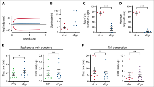 siFga impairs clot stability ex vivo but does not increase bleeding risk. (A) Representative TEG curve comparing clotting of whole blood from mice treated with siFga (blue) or siLuc (red) 1 week prior. (B-D) Quantifying TEG data such as from panel A to determine clot time (B), rate of clot formation (C), and maximum clot amplitude (D) (n = 4-5). (E) Mice were injected with PBS (green) or siFga (blue) 1 week prior to saphenous vein puncture (n = 8). Bleeding from the saphenous vein injury was monitored for 40 minutes, and bleed time and blood loss were quantified. (F) Mice were injected with siLuc (red) or siFga (blue) 1 week prior to tail transection. Bleeding was monitored for 20 minutes, and bleed time and blood loss were quantified (n = 8). ***P < .001. ns, no significant difference. Error bars represent mean ± SEM.
