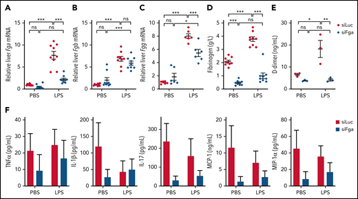 siFga attenuates acute phase response following LPS challenge. Mice were treated with siLuc (red) or siFga (blue) 1 week prior to intraperitoneal injection with LPS and euthanized 24 hours later. (A-C) Relative liver Fga (A), Fgb (B), and Fgg (C) mRNA levels in mouse livers, normalized to a housekeeping gene (B2m). (D-E) Plasma fibrinogen (D) and D-dimer (E) levels were quantified by ELISA. (F) TNF-α, IL-1β, IL-17, MCP-1, and MIP-1α levels in plasma were quantified using a multiplex cytokine analysis. n = 9 for panels A, B, and D; n = 6 for panels C and F, and n = 3 for panel E. *P < .05, **P < .01, ***P < .001. ns, no significant difference. Error bars represent mean ± SEM.