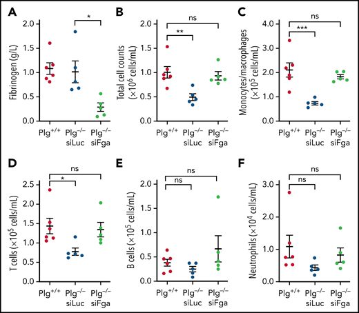 siFga restores macrophage migration in plasminogen-deficient mice. Plasminogen-deficient (Plg−/−) mice were injected with siLuc (blue) or siFga (green) 1 week prior to intraperitoneal injection of thioglycollate and euthanized 72 hours later. Plasminogen WT littermates (Plg+/+; red) were included as control and were also injected with thioglycollate. (A) Plasma fibrinogen levels were quantified by ELISA. (B-F) Peritoneal lavage fluids were analyzed by flow cytometry for total cell counts (B), monocyte/macrophages (C), T cells (D), B cells (E), and neutrophils (F). n = 5 to 6 all panels. *P < .05, **P < .01, ***P < .001. ns, no significant difference. Error bars represent mean ± SEM.