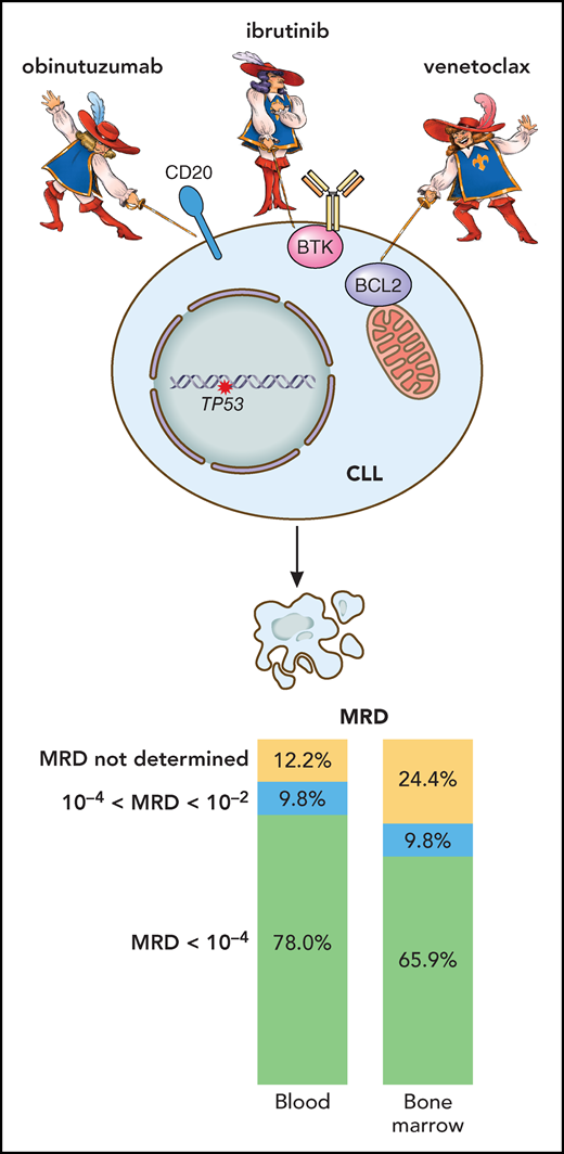 Results of the CLL2-GIVe trial in patients with previously untreated CLL harboring TP53 alterations. The combined targeting of CD20 (obinutuzumab), BTK (ibrutinib), and BCL-2 (venetoclax) leads to an impressive reduction in CLL tumor load, demonstrated by undetectable MRD in PB and BM in a high proportion of treated patients. Professional illustration by Patrick Lane, ScEYEnce Studios.