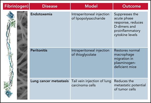 Treatment with siFga improves the outcome in mouse models of fibrin(ogen)-driven pathologies.