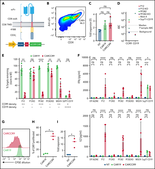 Anti-CCR9 CAR has potent cytotoxicity against T-ALL cell lines in vitro. (A) Structure and vector design of anti-CCR9 and control anti-CD19 CAR used in the study, using “Campana” architecture with RQR8 marker/sort-suicide gene. (B) Expression of anti-CCR9 CAR on the surface of transduced T cells, detected by anti-murine Fab. (C) Fold expansion of NT, CAR19, or CARCCR9 cells 5 days after transduction. (D) Antigen density of CD19 and CCR9 on cell lines used in the study. (E) Cytotoxicity of CAR19 vs CARCCR9 against primary T-ALL cell lines, data normalized to NT condition, 48-hour coculture, data shown at 1:8 E:T ratio. (F) Secretion of interferon-γ (IFN-γ; top) and interleukin-2 (IL-2) (bottom) in 48-hour co-culture, 1:8 E:T ratio as in panel E. (G) Example flow plot of CFSE dilution on T cells after 7-day incubation with irradiated MOLT-4 cells at 1:2 ratio. (H) Quantification of T cell CFSE dilution, 3 donors. (I) Fold expansion of T cells after 7-day co-culture with irradiated SupT1 cells at 1:2 ratio, 3 donors. *P < .05, **P < .01, ***P < .001, ****P < .0001. ns, not significant. EFF, effectors.