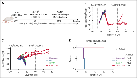 Anti-CCR9 CAR has potent antitumor activity in a MOLT4 xenograft model of T-ALL. (A) Schematic of murine MOLT4 model. (B) Bioluminescence signal in mice in study. (C) Mass of mice in study, expressed as percentage of starting mass. (D) Survival of mice in study. n = 4 per group. Experiment performed twice; data shown from representative experiment. BLI, bioluminescence imaging; NR, not reported; OS, overall survival.
