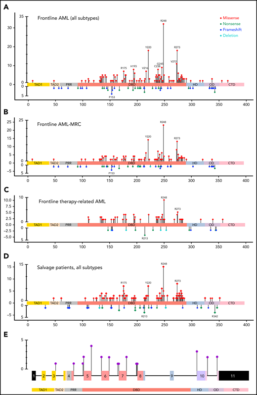 Lollipop plot illustrating TP53 mutational data in this study group. (A) FL AML (n = 354 patients). (B) FL AML-MRC (n = 196 patients). (C) FL t-AML (n = 80 patients). (D) Salvage and treated-secondary FL (n = 174 patients) (salvage depicted by square: treated-secondary FL depicted by circles). (E) Splice site mutations in all types of AML (n = 26 patients). Note: Circles are colored according to the corresponding mutation type. Missense (red circles) mutations are shown above the gene schematic diagram, and truncating mutations, including nonsense (green circles), frameshift (blue circles), and deletion (aqua circles), are shown below the diagram. Splice site mutations are depicted in purple circles. At a given locus, lollipop height is proportional to the number of times a mutation was observed in study subjects. The structural domains of the gene represented in the figure: TAD, transactivation domain (TAD1: residues 1 to 40, TAD2 41 to 60 residues); PRD, proline-rich domain (61 to 92 residues); DBD, DNA binding domain (94 to 292 residues); HD, hinge domain (293 to 325 residues); OD, oligomerization domain (326 to 353 residues); CTD, C-terminal domain (354 to 393 residues).37