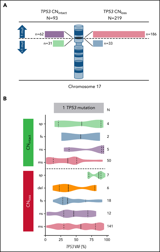 Correlation of TP53 CN status with TP53 mutation number, type, and VAF. (A) TP53 CN status among patients with AML with one or more TP53 mutations. Bar lengths drawn to scale. (B) TP53 mutation types and variant allelic frequencies within each of the TP53 CN groups. mut, mutation; sp, splice site; fs, frameshift; ns, nonsense; ms, missense.